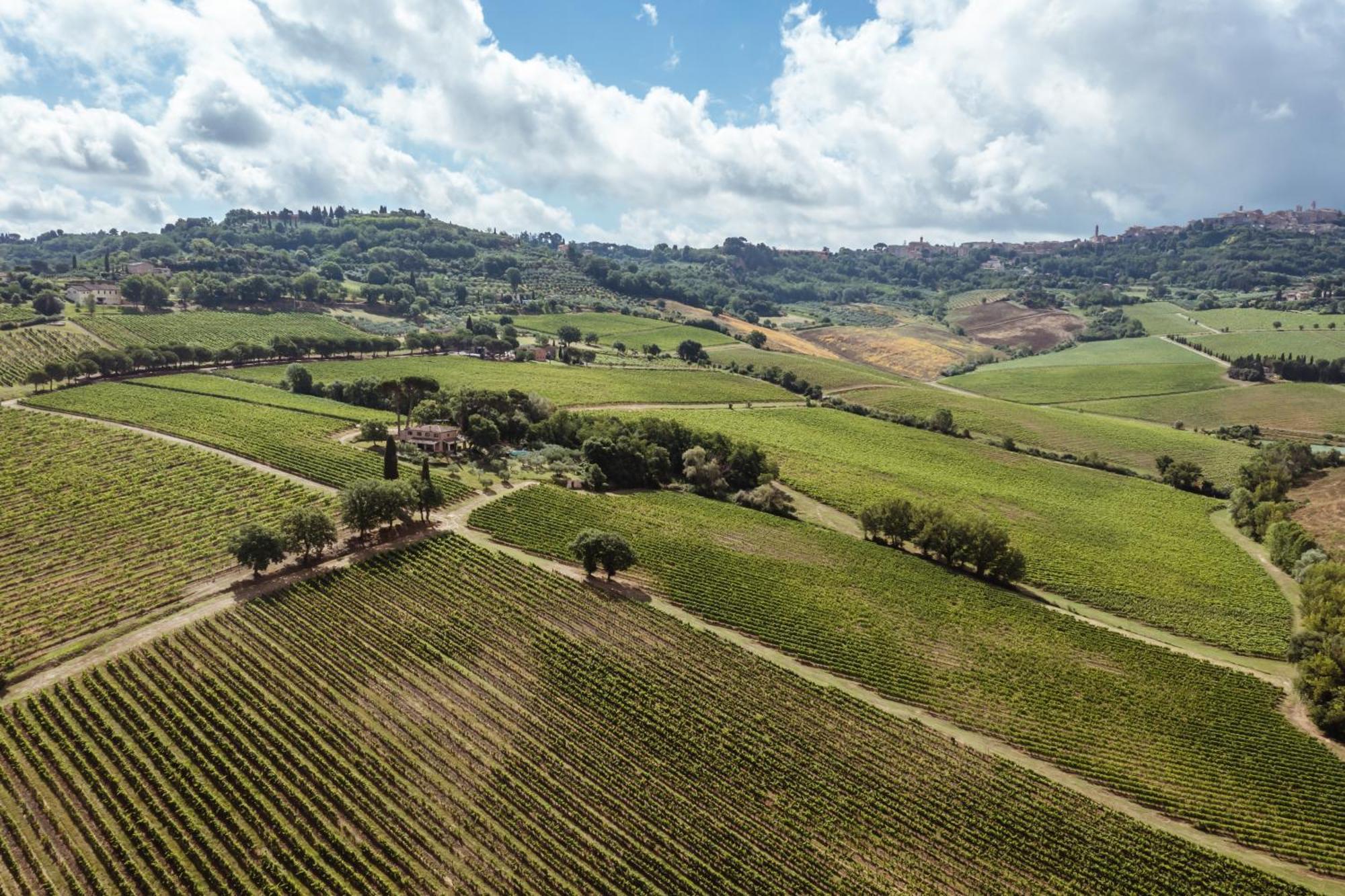Villa Talosa Montepulciano Stazione Buitenkant foto